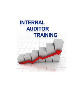 internal auditor training